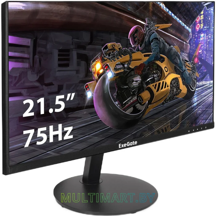 Монитор ExeGate SmartView EP2207 (EX295588RUS)